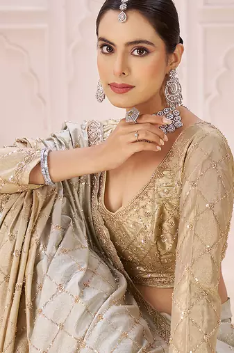 Gold embroidered banarasi saree