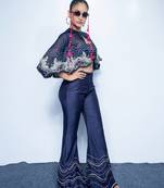 Blue embroidered chanderi co ord set