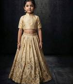 Ivory embroidered lehenga set