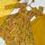 Mustard floral anarkali with palazzo set