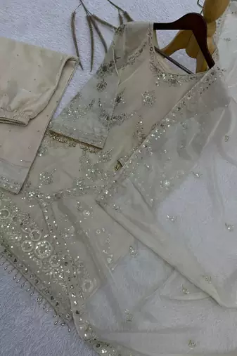 Ivory organza embroidered salwar kameez