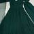 Green color lucknowi sequince work faux georgette anarkali set