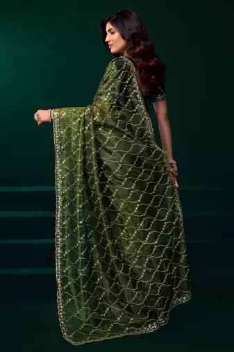 light green net saree with sequins embroidery