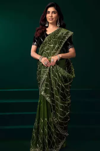 light green net saree with sequins embroidery