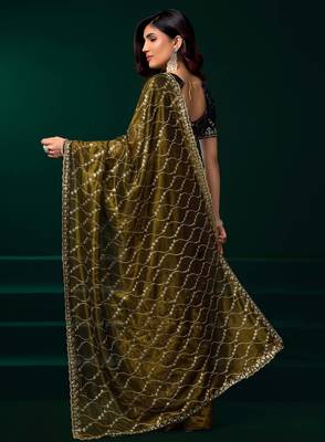 olive net saree with sequins embroidery 2