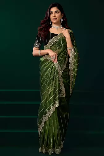 green net saree with heavy sequins embroidered designs