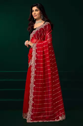 red net saree with embroidered sequins floral designs