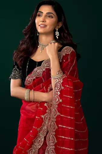 red net saree with embroidered sequins floral designs