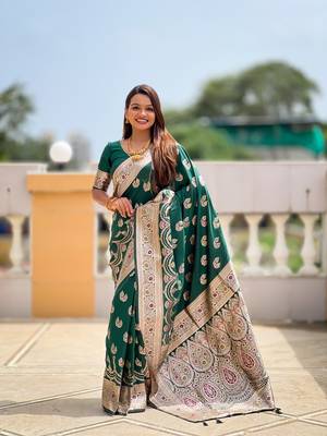 soft banarasi art silk saree with zari weaving meenakari touchup design all over the saree 4