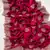 Rose Color Blooming Vichitra Embroidered Saree