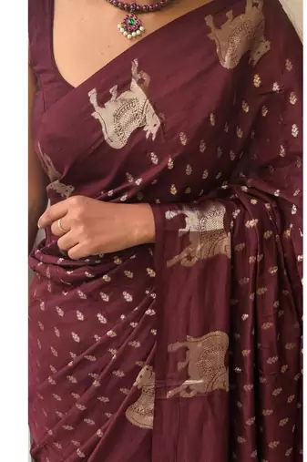 Brown color elegant saree with golden butti russian hiran border & chinon blouse