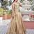 chiku gold crush embroidered lehenga choli