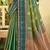 light green soft silk blend woven work traditional saree