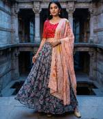 Embroadery Work Printed SemiStitched Lehenga choli