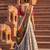 Embroadery Work Printed SemiStitched Lehenga choli