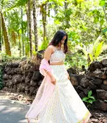 white banarasi georgette lehenga choli with gold motifs