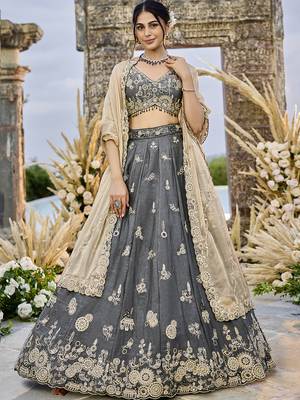 Grey Lehenga Choli Set 2