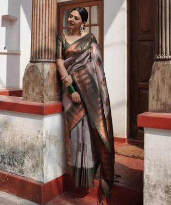 Sophisticated taupe silk blend saree with geometric border 1
