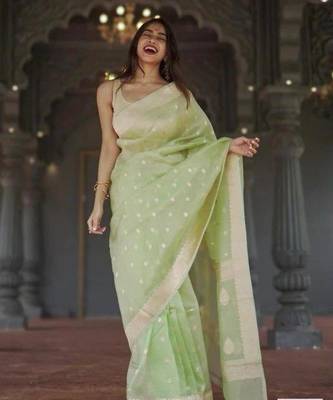 Pastel mint green silk blend saree with silver motifs 1