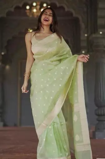 Pastel mint green silk blend saree with silver motifs