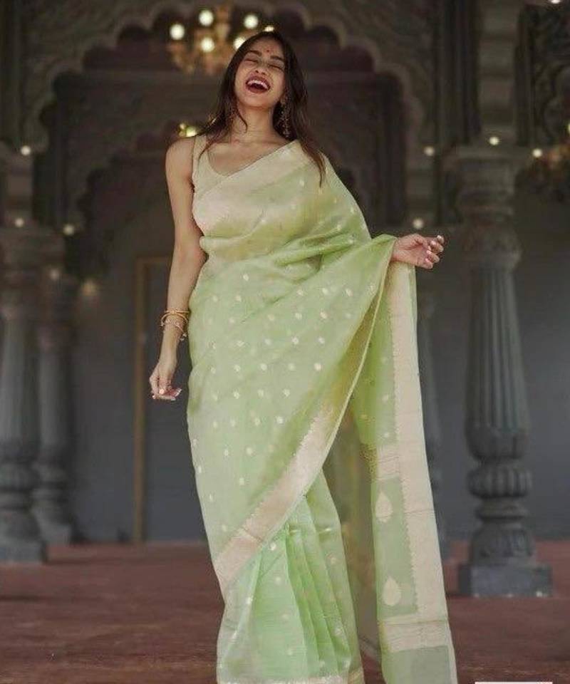 Pastel mint green silk blend saree with silver motifs