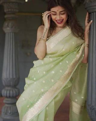 Pastel mint green silk blend saree with silver motifs 2