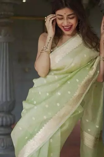 Pastel mint green silk blend saree with silver motifs