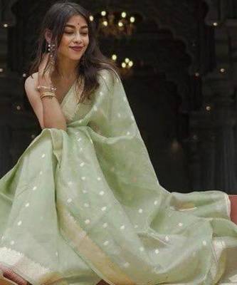 Pastel mint green silk blend saree with silver motifs 3