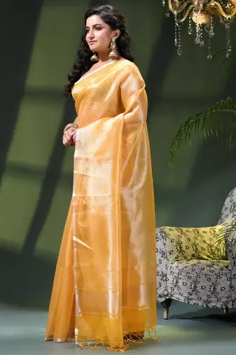 Women's tissue silk kanjivaram saree trendy roshni art design golden art silk saree for women