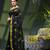 Women's cotton silk party wear saree gulnaz design georgette chiffon cotton saree