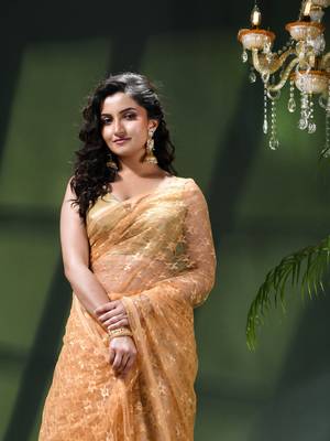 Fancy net sequin soft net saree party wear chiffon wedding silk georgette heavy design farewell saree for women 5