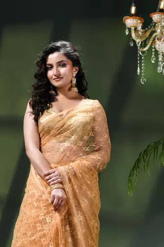 Fancy net sequin soft net saree party wear chiffon wedding silk georgette heavy design farewell saree for women