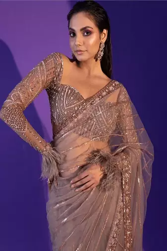 Light brown heart-stealing net saree with sequins, dori & zari work