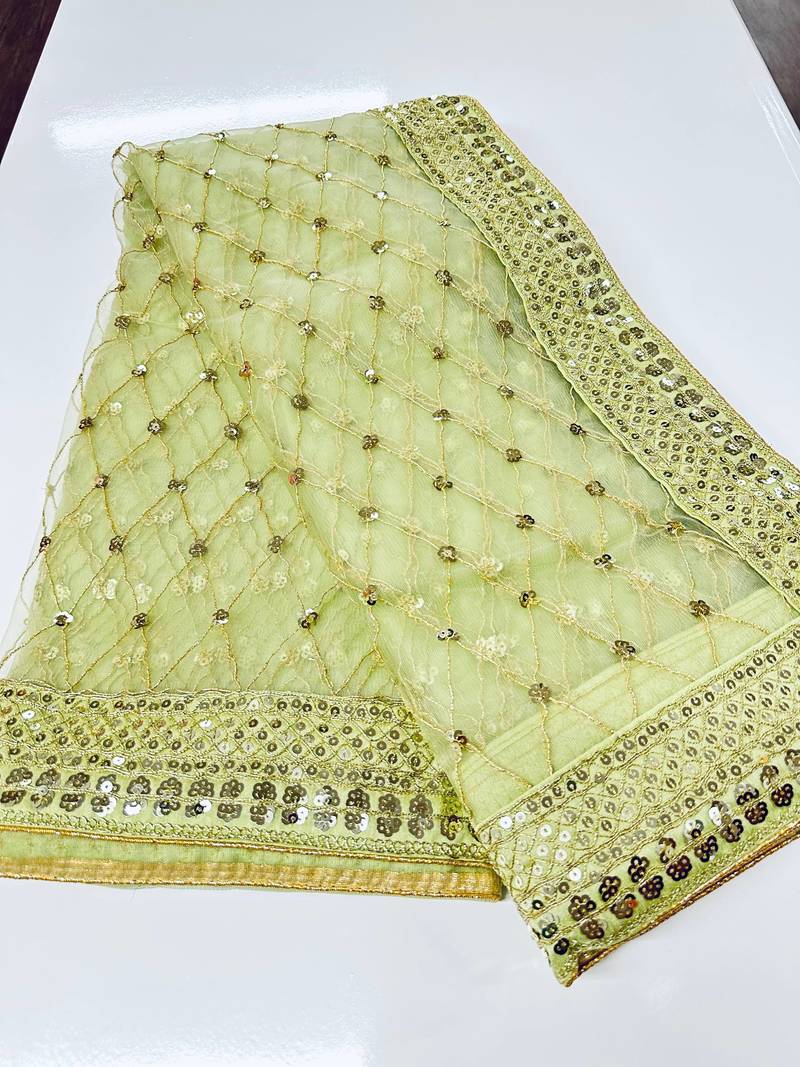 Pista elegant net saree with sequins & dori work and banglori silk blouse