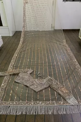 Light brown heart-stealing net saree with sequins, dori & zari work