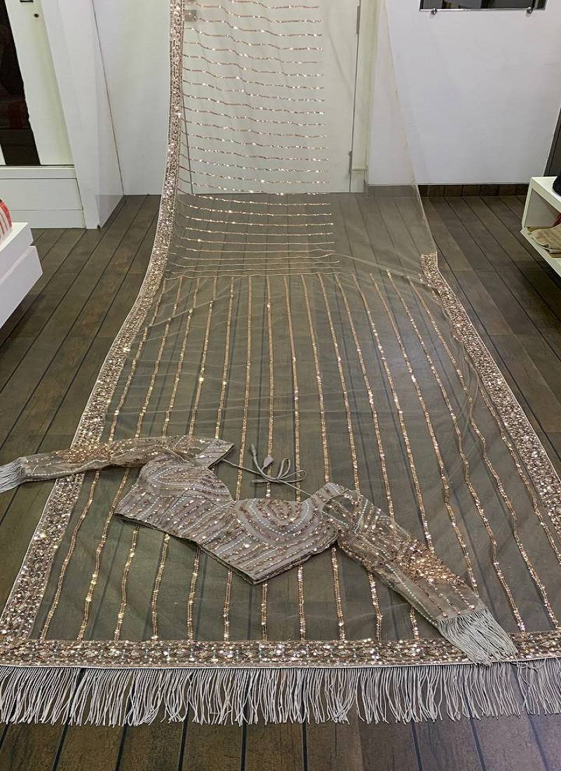 Light brown heart-stealing net saree with sequins, dori & zari work