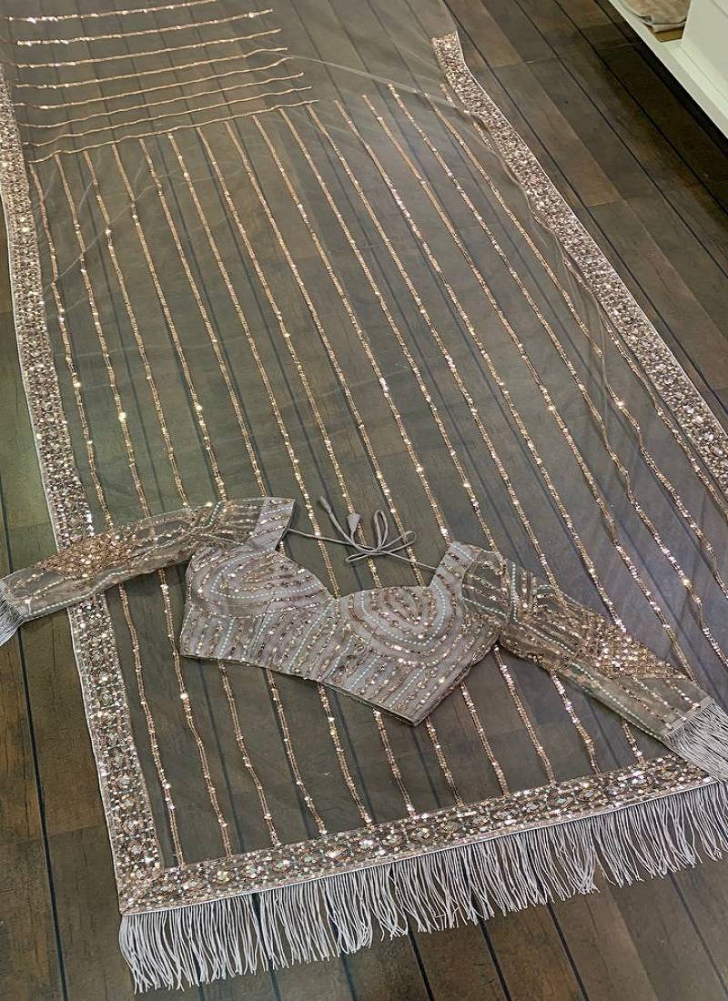 Light brown heart-stealing net saree with sequins, dori & zari work
