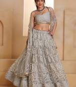 LIGHT GREY Designer Butterfly Net Lehenga Choli with Fancy Lace Dupatta