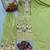 Pista Green CHINNON SILK EMBROIDERY WORK FULLY  SALWAR SUIT