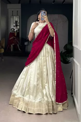 Ethnic Royalty Zari Woven Border Chaniya Choli