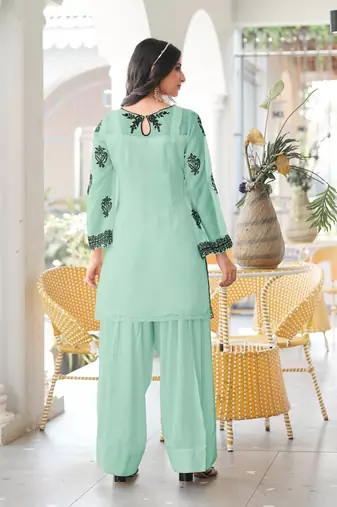 Light-green embroidered organza straight cut kurta