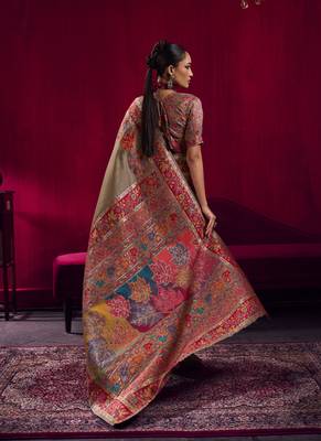 Chiku modal pashmina handloom weaving saree 2