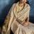 Beige zari tissue handloom weaving saree