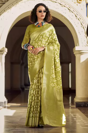 light green elegant tissue silk saree     lightweight & luxurious fabric