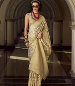 chiku elegant tissue silk saree – lightweight & luxurious fabric
