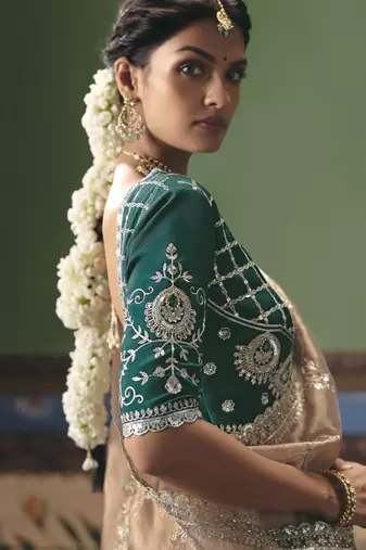 chiku elegant fancy saree with embroidery sequins stones & pearl work with matching blouse