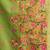 parrot green premium munga cotton mina work saree with zari border & pum pum lace