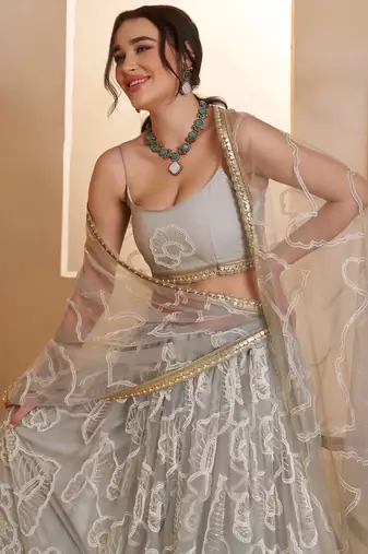 Captivating Grey Embroidered Net Party Wear Lehenga Choli