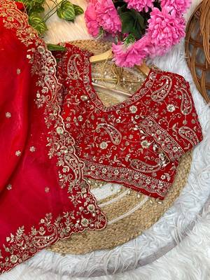 Red Color Embroidery sequence work heavy border Satin Saree 3