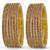 Nvr women's set of 12 zircon gemstone studded stylish gold plated bangles